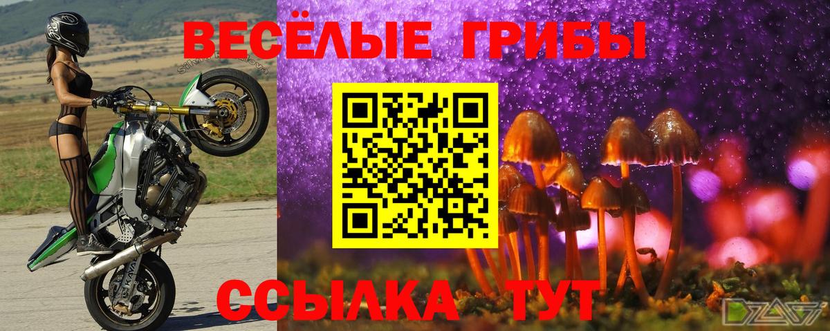 Тихвин  Псилоцибиновые грибы прущие грибы  Галлюциногенные грибы ЛСД  Вход с VPN 