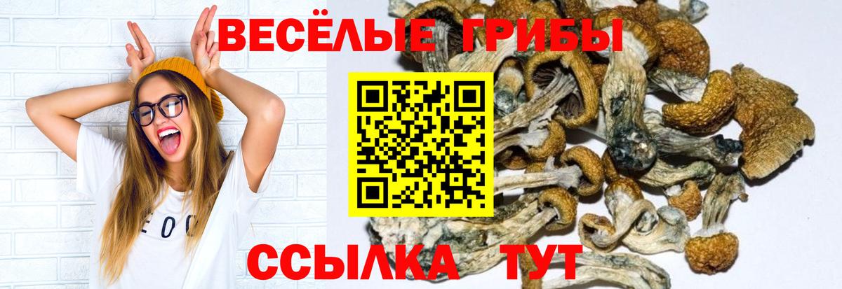 Галлюциногенные грибы GOLDEN TEACHER Тихвин