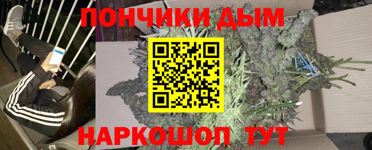 Канабис планчик Тихвин